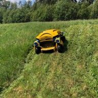 Spider in action Spider in action